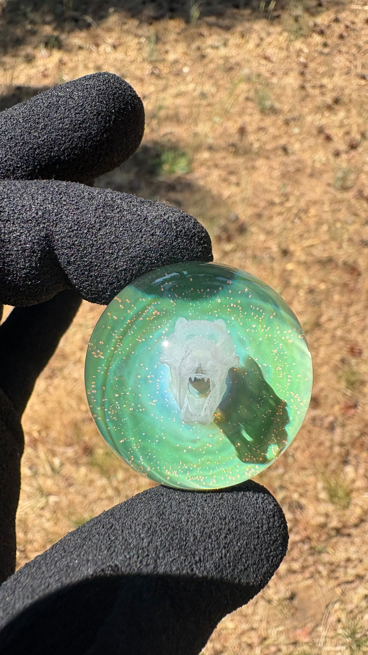 Saber Tooth Skull Cosmic Object #2 w/ Crushed Opal (33mm/1.2")