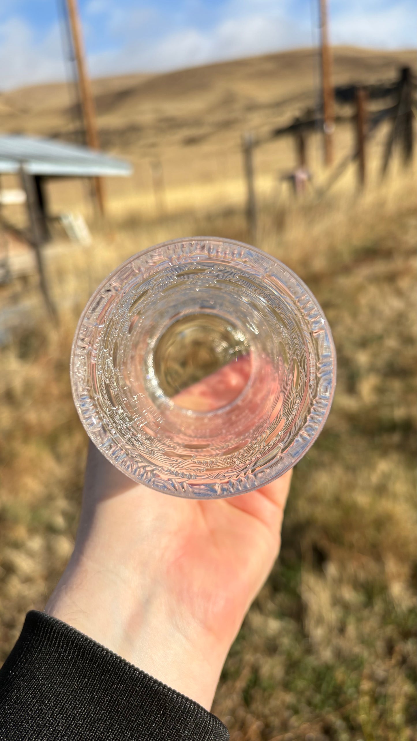 Seigaiha 8.8oz Tumbler Glass