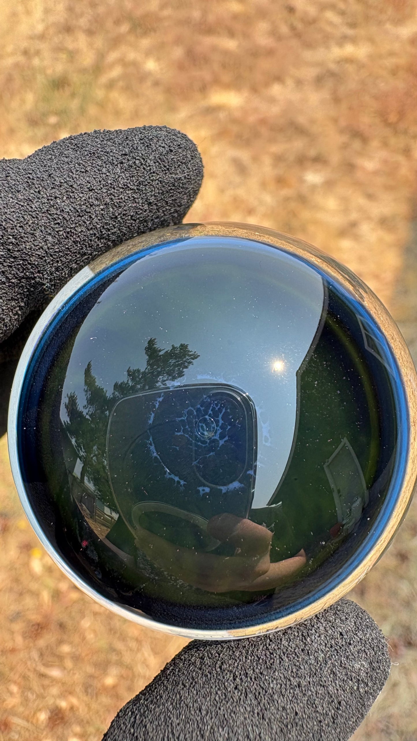 Heloderma Horridum Skeleton #3 - Cosmic Object (48mm/1.9")