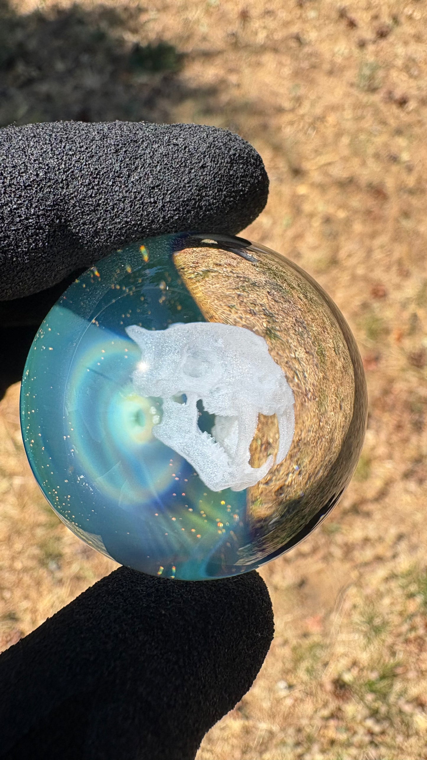 Saber Tooth Skull Cosmic Object #4 (39.6mm/1.5")