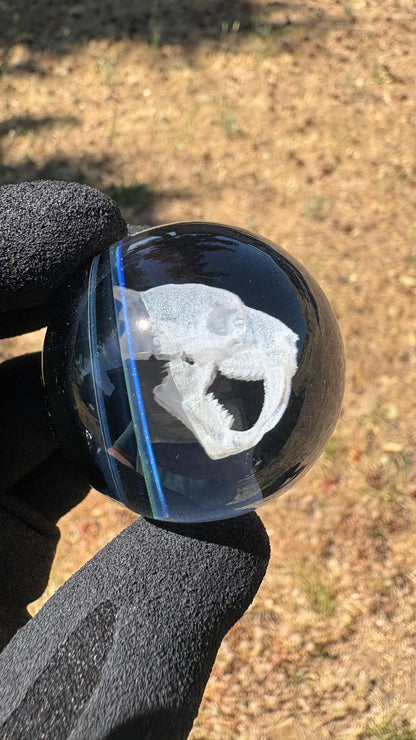 Saber Tooth Skull Cosmic Object #5 (slightly off-center) (42mm/1.5")