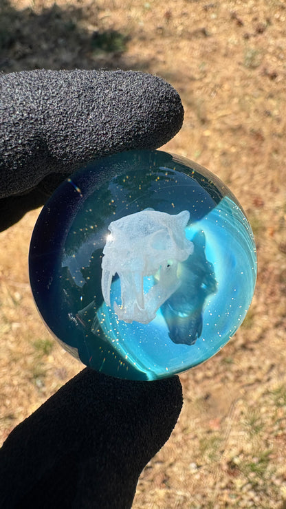 Saber Tooth Skull Cosmic Object #4 (39.6mm/1.5")