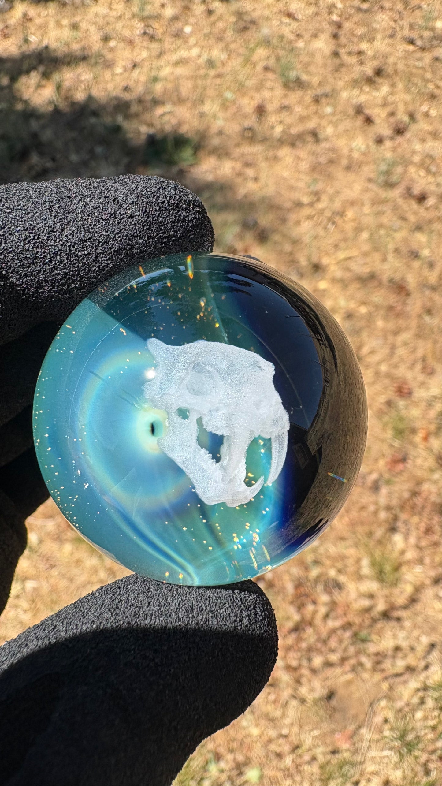 Saber Tooth Skull Cosmic Object #4 (39.6mm/1.5")