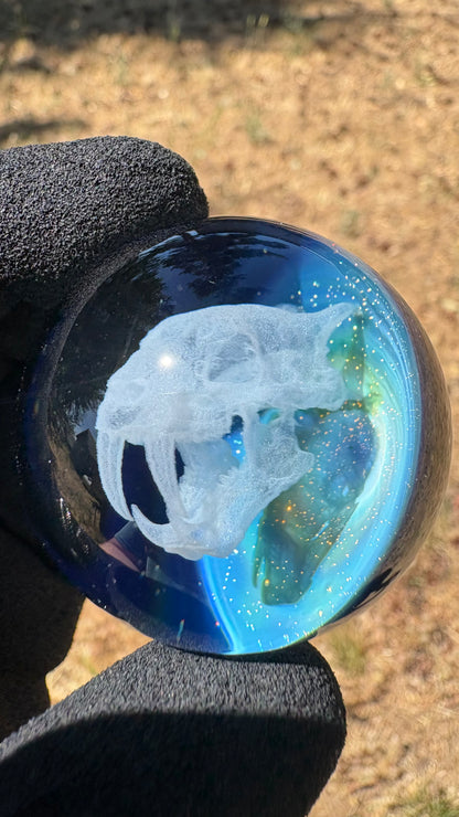 Saber Tooth Skull Cosmic Object #5 (slightly off-center) (42mm/1.5")