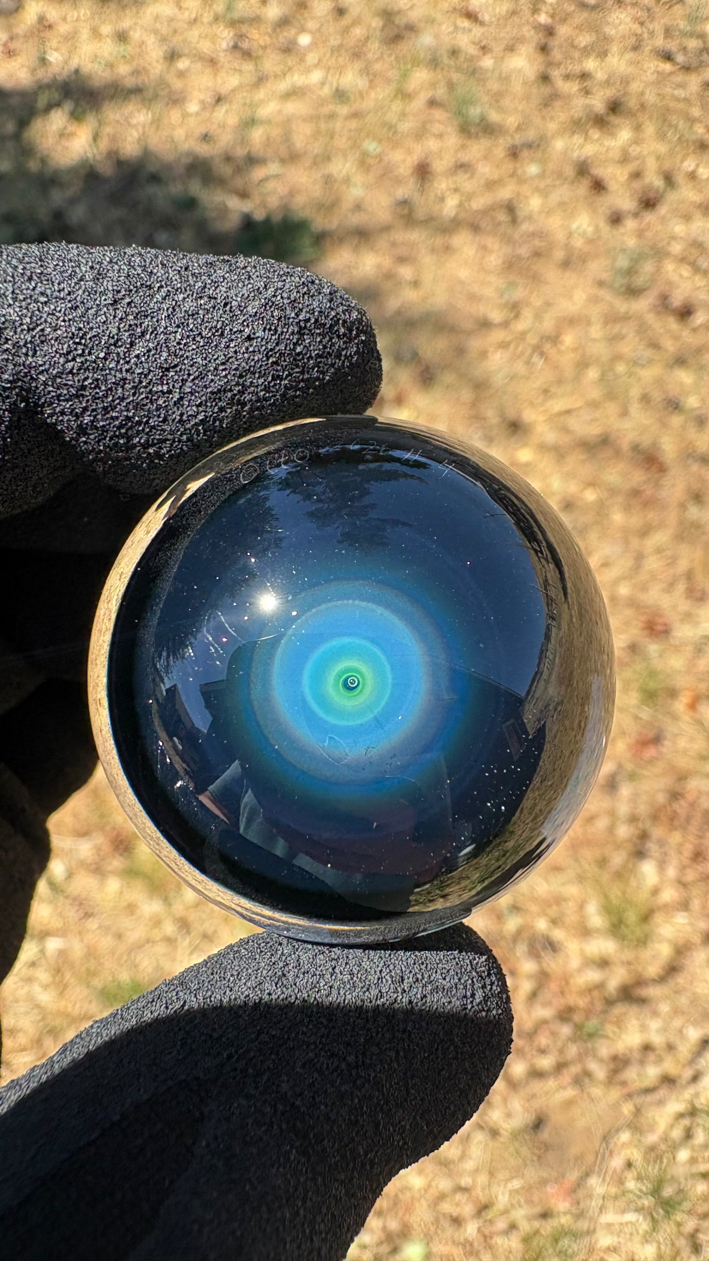 Saber Tooth Skull Cosmic Object #4 (39.6mm/1.5")