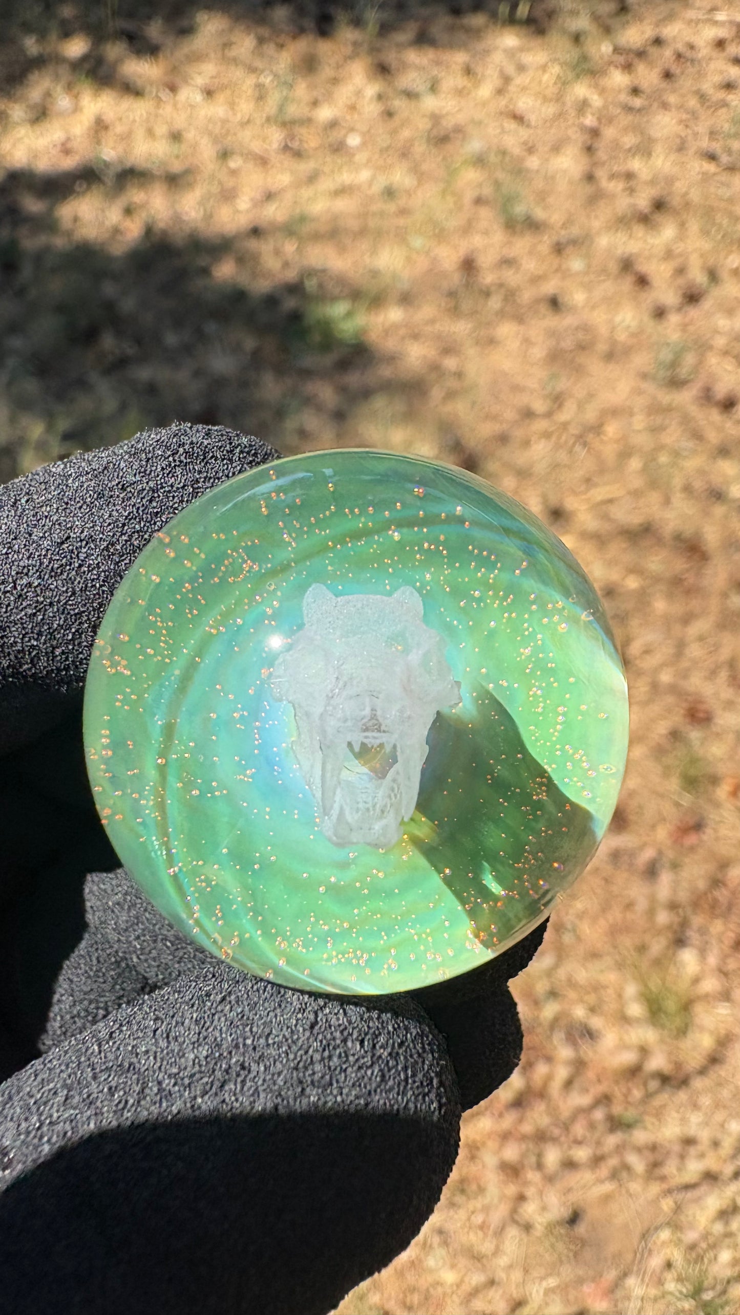 Saber Tooth Skull Cosmic Object #2 w/ Crushed Opal (33mm/1.2")