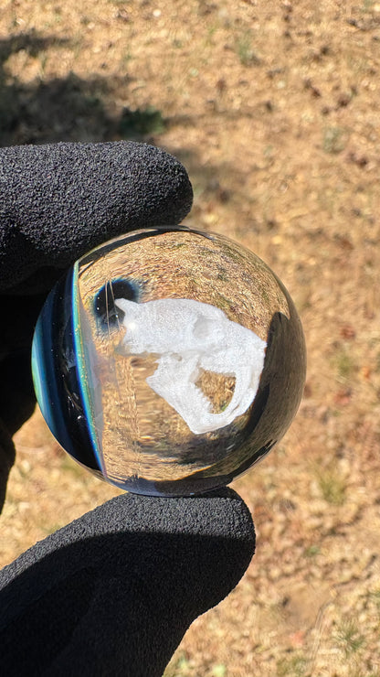 Saber Tooth Skull Cosmic Object #4 (39.6mm/1.5")
