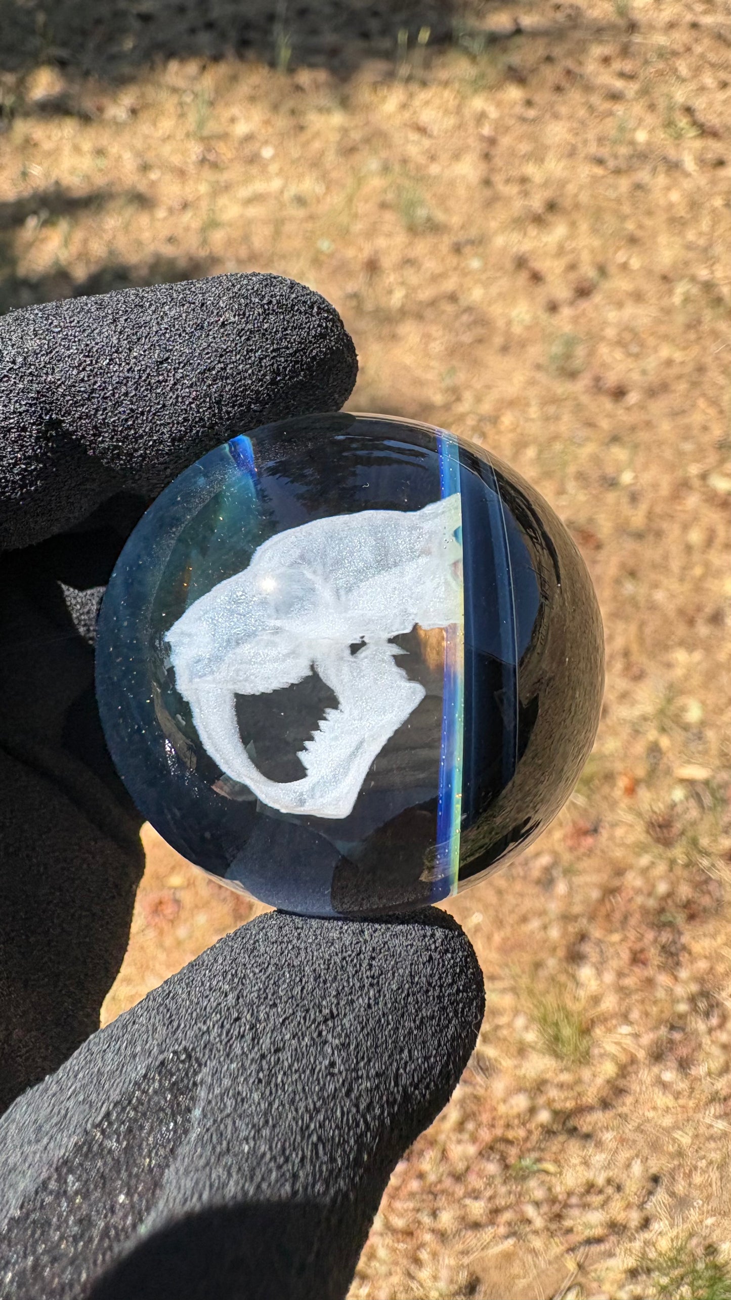 Saber Tooth Skull Cosmic Object #5 (slightly off-center) (42mm/1.5")