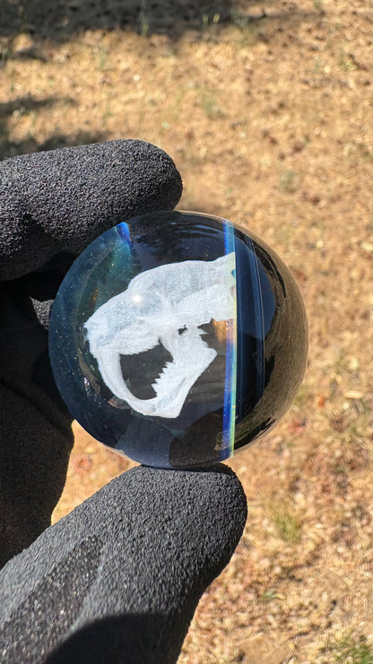 Saber Tooth Skull Cosmic Object #5 (slightly off-center) (42mm/1.5")
