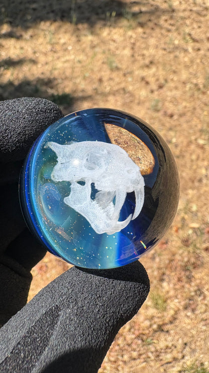 Saber Tooth Skull Cosmic Object #5 (slightly off-center) (42mm/1.5")