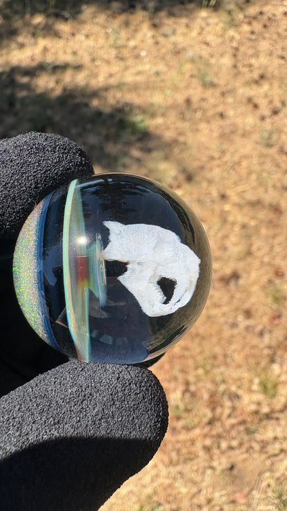 Saber Tooth Skull Cosmic Object #2 w/ Crushed Opal (33mm/1.2")