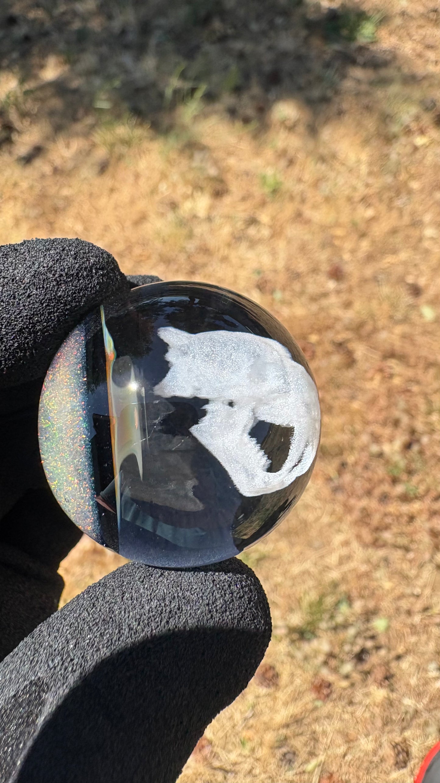Saber Tooth Skull Cosmic Object #3  w/ Crushed Opal (34.5mm/1.35")