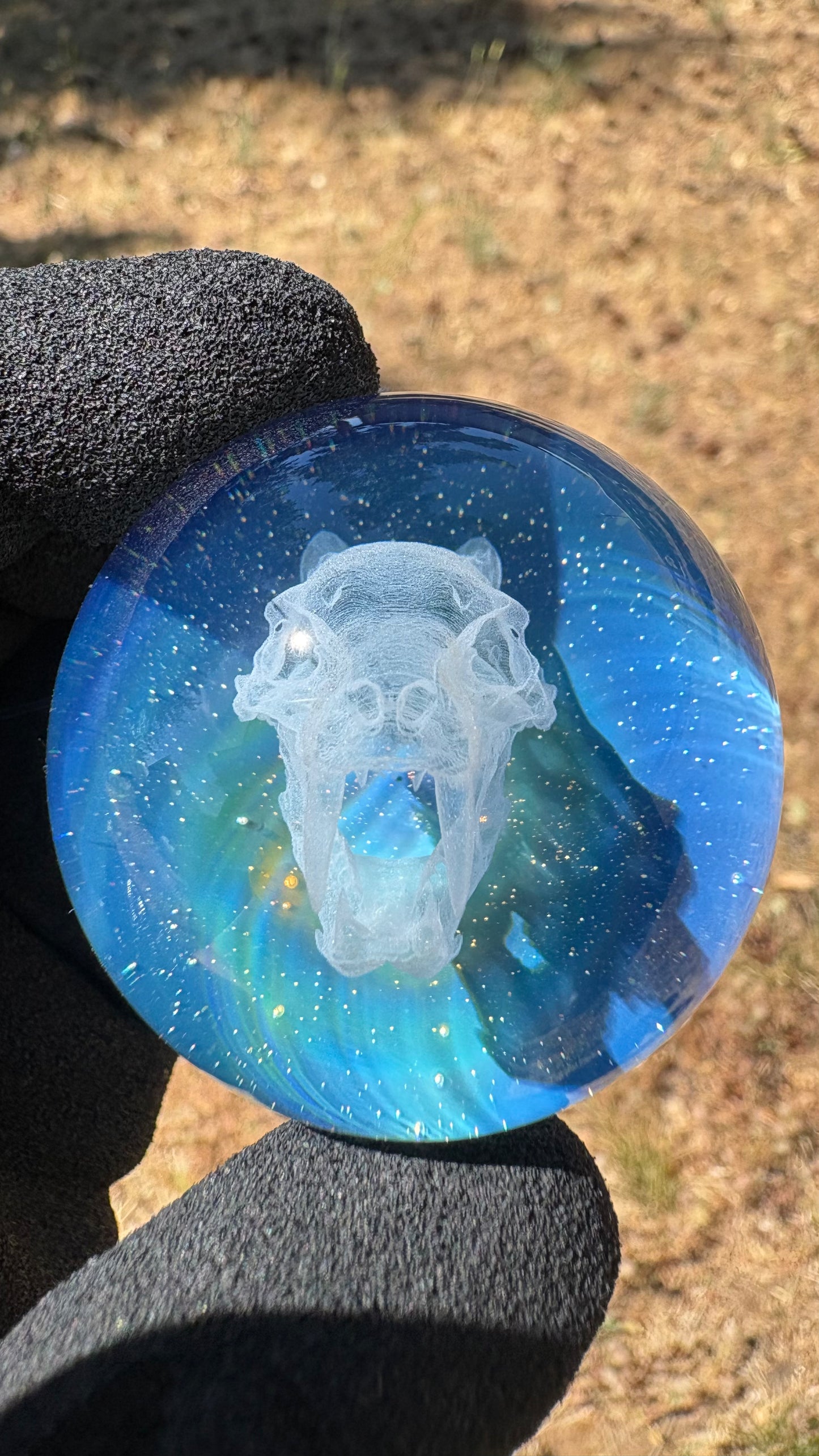 Saber Tooth Skull Cosmic Object #5 (slightly off-center) (42mm/1.5")