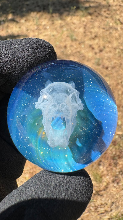 Saber Tooth Skull Cosmic Object #5 (slightly off-center) (42mm/1.5")