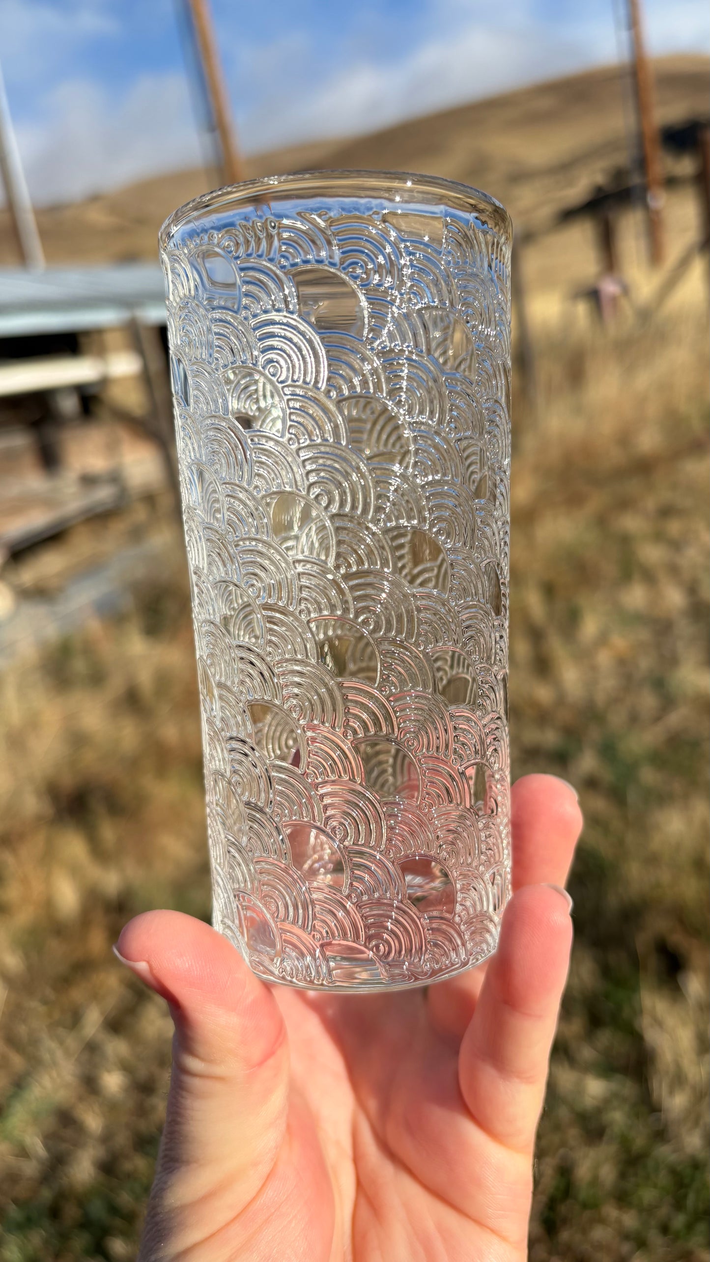 Seigaiha 8.8oz Tumbler Glass