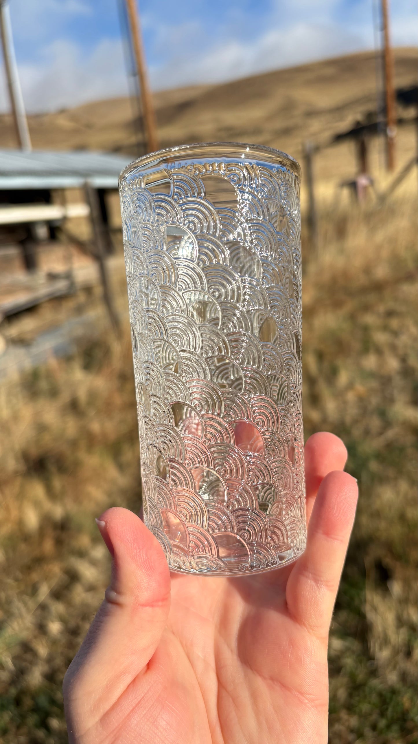 Seigaiha 8.8oz Tumbler Glass