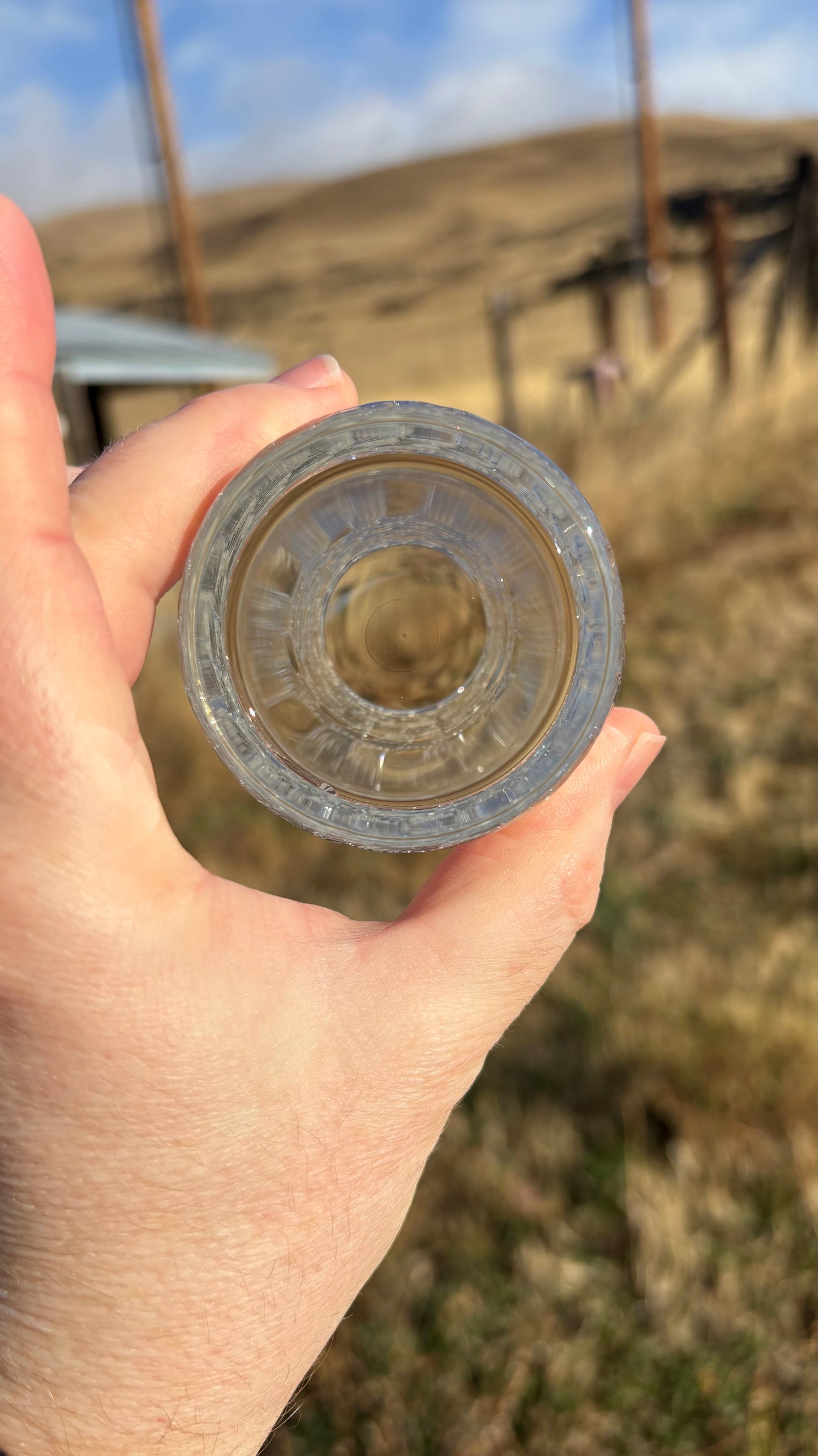 Seigaiha 8.8oz Tumbler Glass