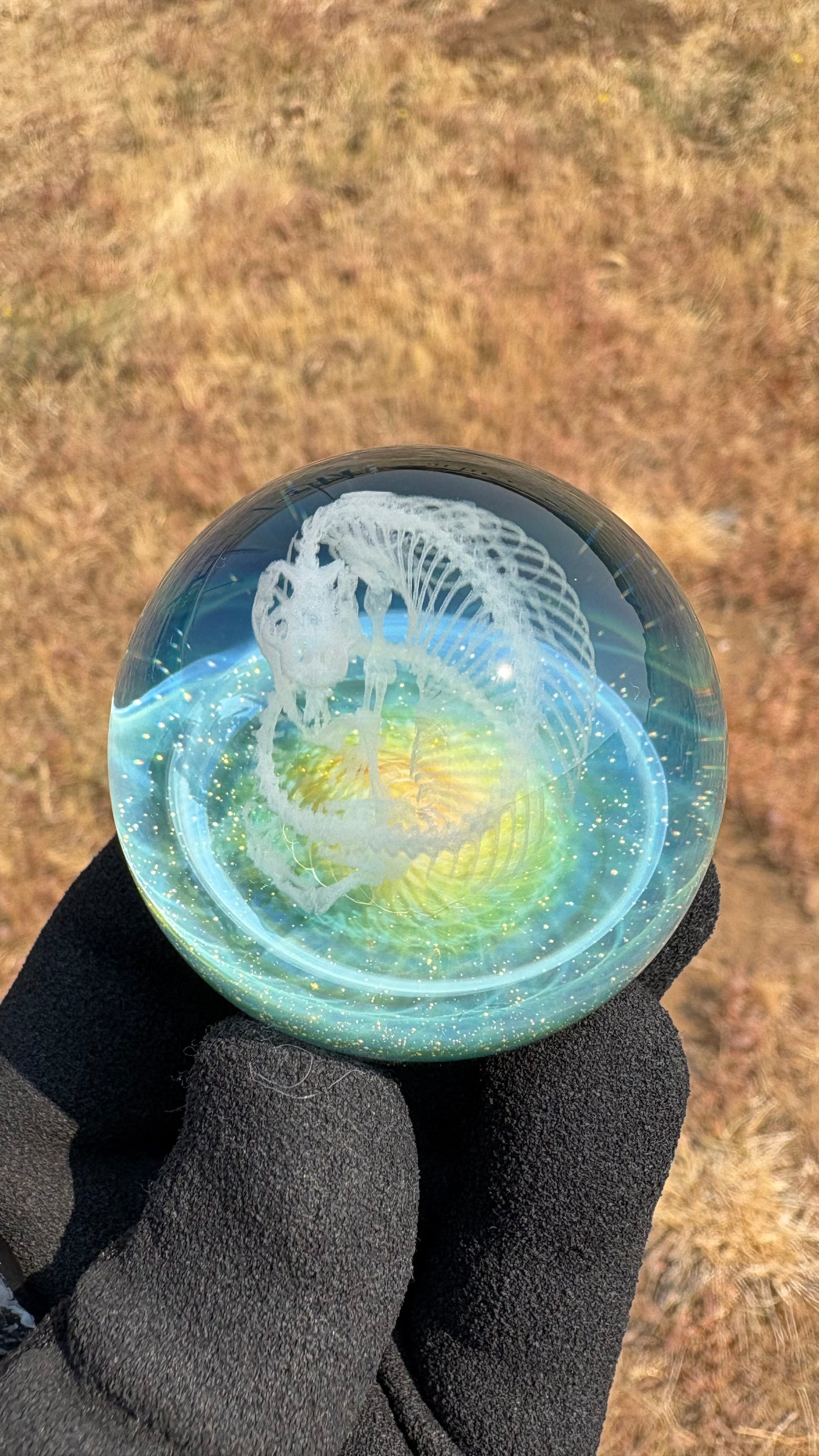 Heloderma Horridum Skeleton #1 - Cosmic Object (47mm/1.8")