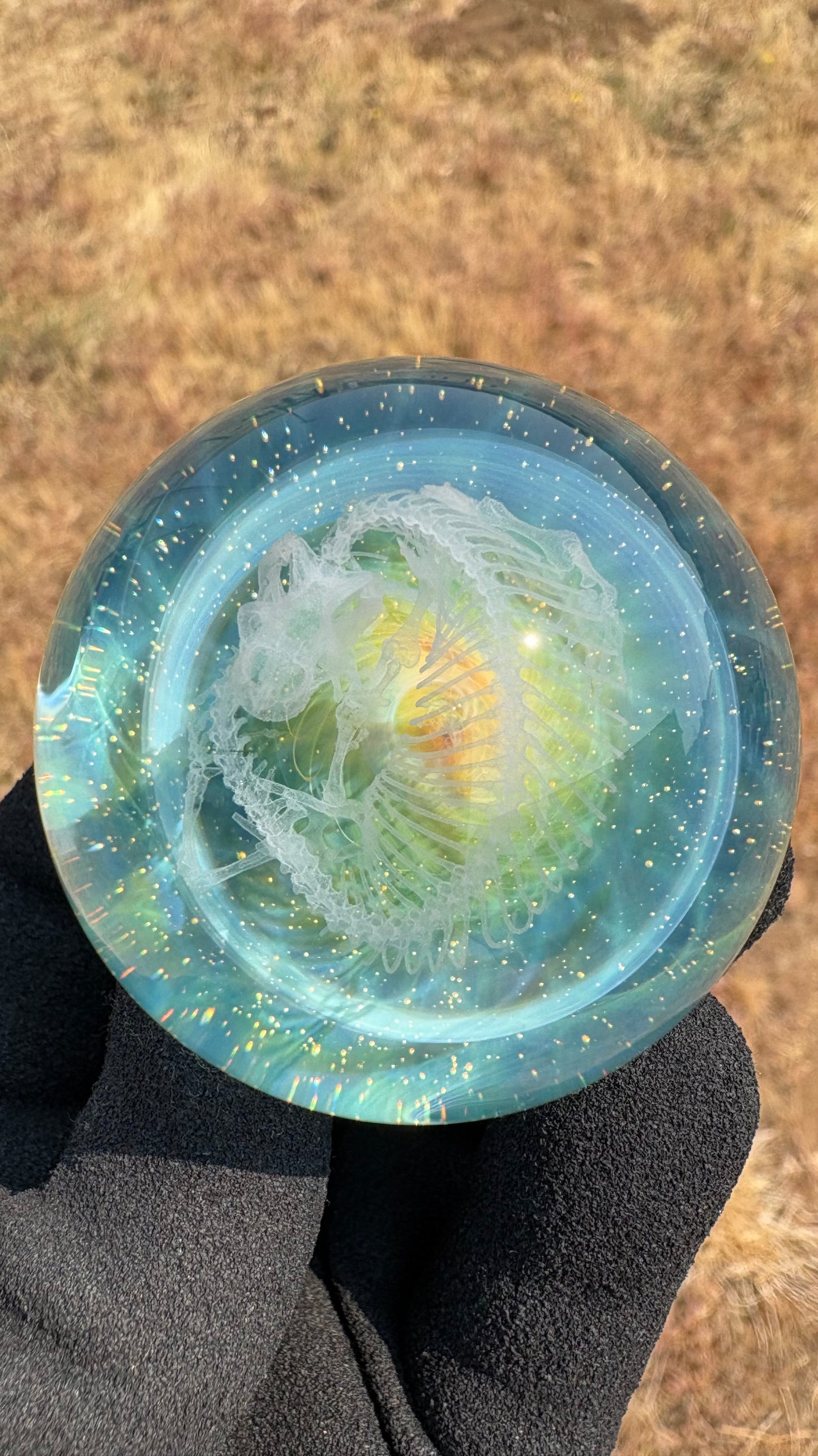 Heloderma Horridum Skeleton #1 - Cosmic Object (47mm/1.8")