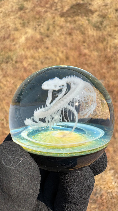 Heloderma Horridum Skeleton #1 - Cosmic Object (47mm/1.8")