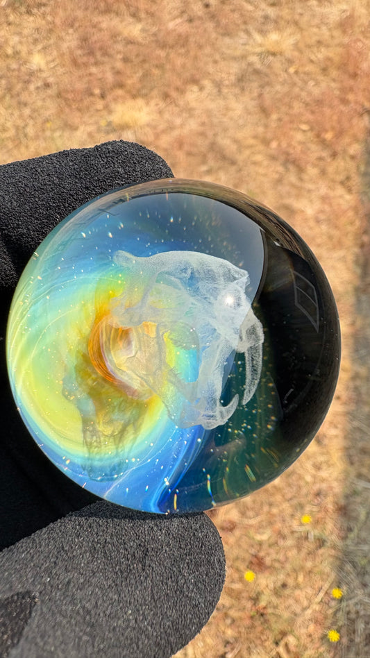 Saber Tooth Skull #7 - Cosmic Object (44mm/1.7")