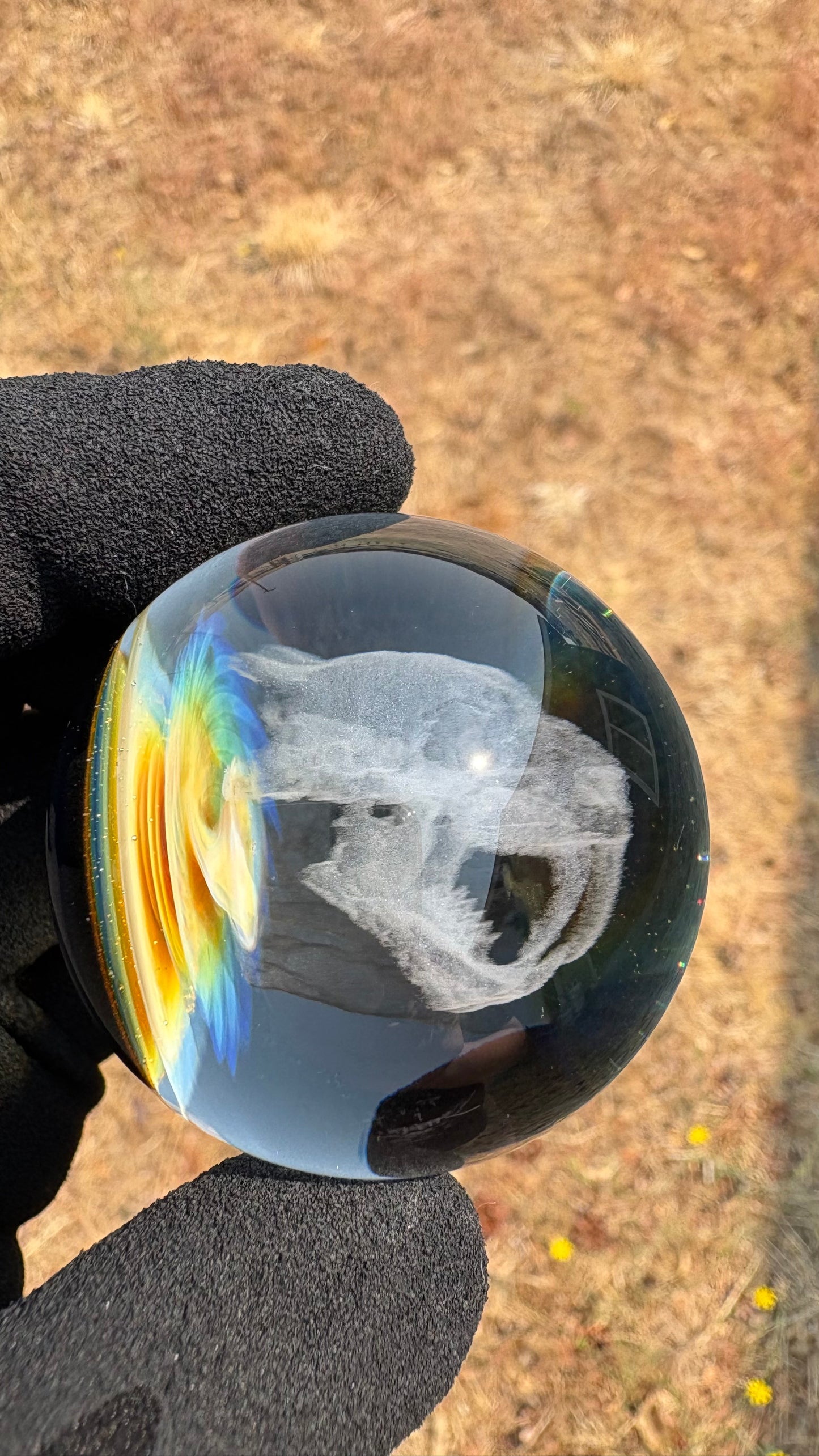 Saber Tooth Skull #7 - Cosmic Object (44mm/1.7")