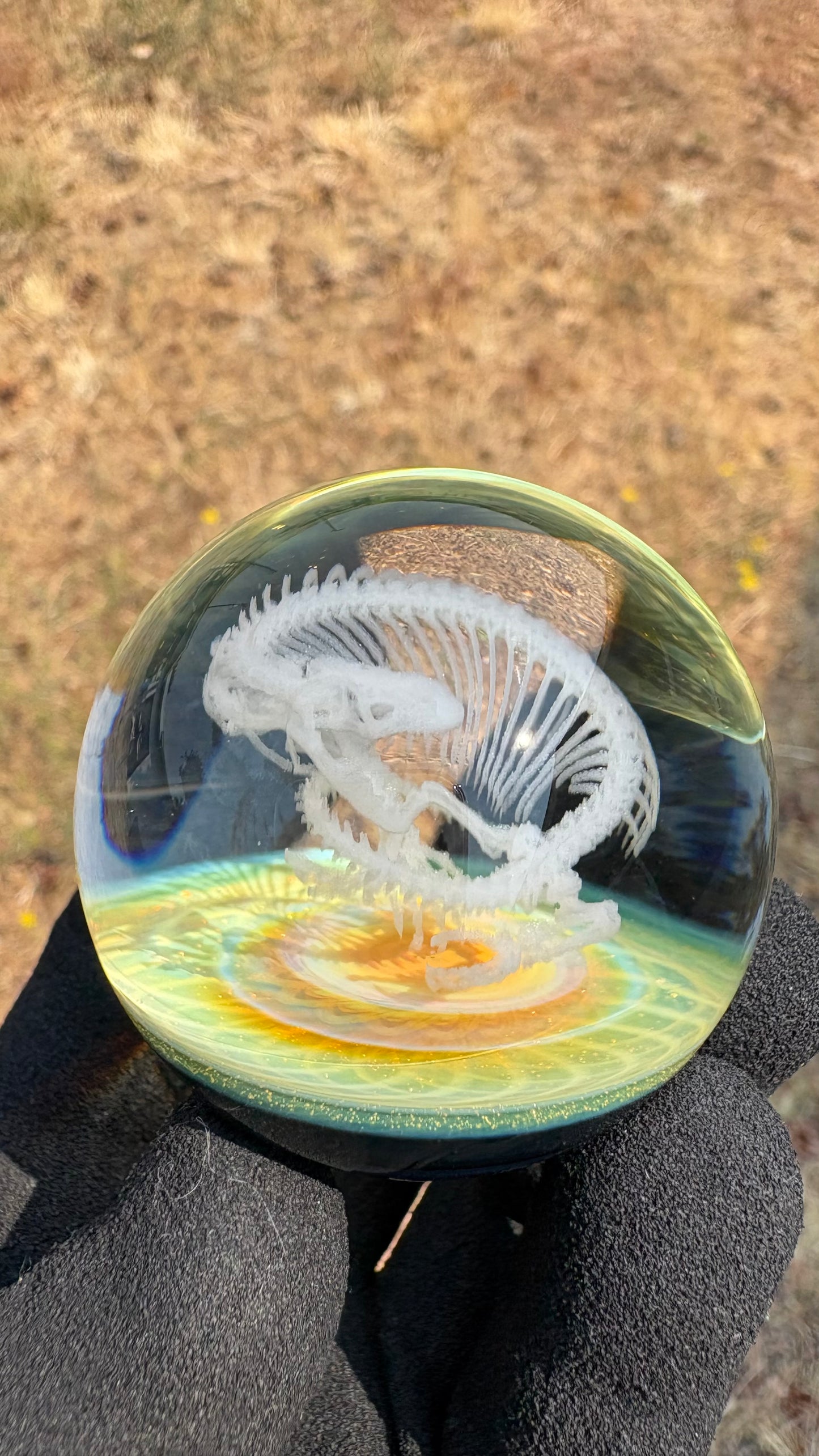 Heloderma Horridum Skeleton #3 - Cosmic Object (48mm/1.9")