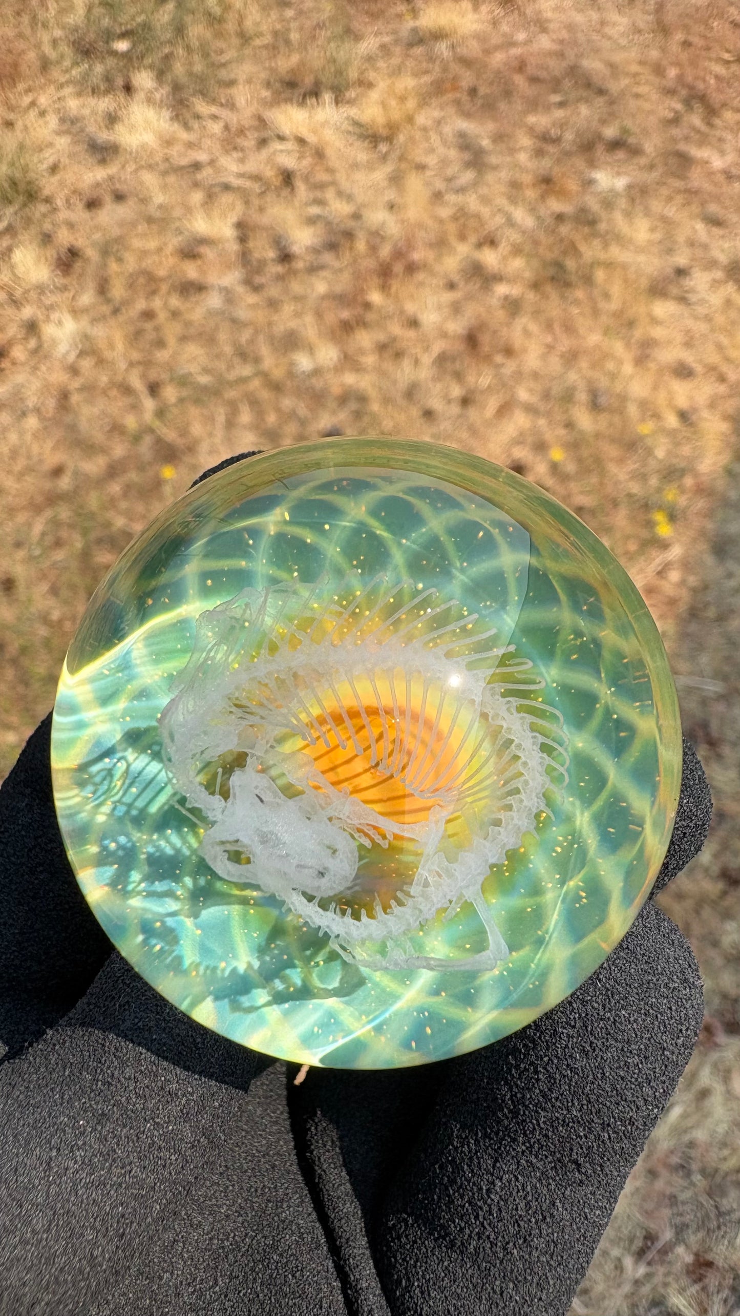 Heloderma Horridum Skeleton #3 - Cosmic Object (48mm/1.9")