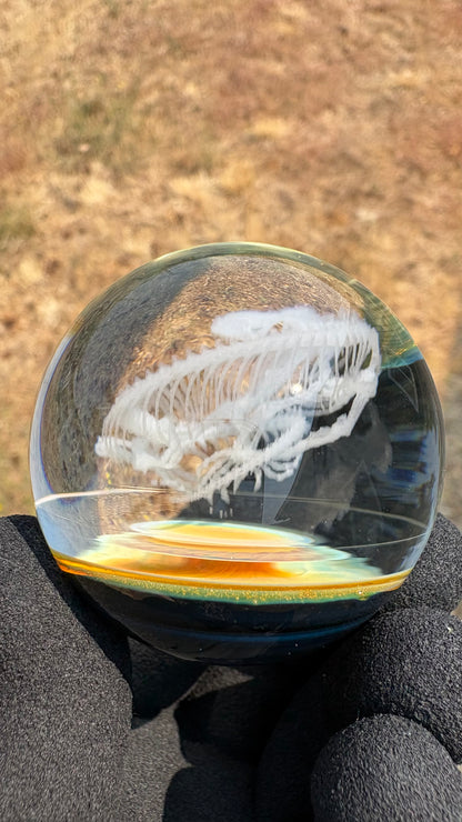 Heloderma Horridum Skeleton #3 - Cosmic Object (48mm/1.9")