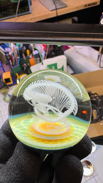 Heloderma Horridum Skeleton #3 - Cosmic Object (48mm/1.9")
