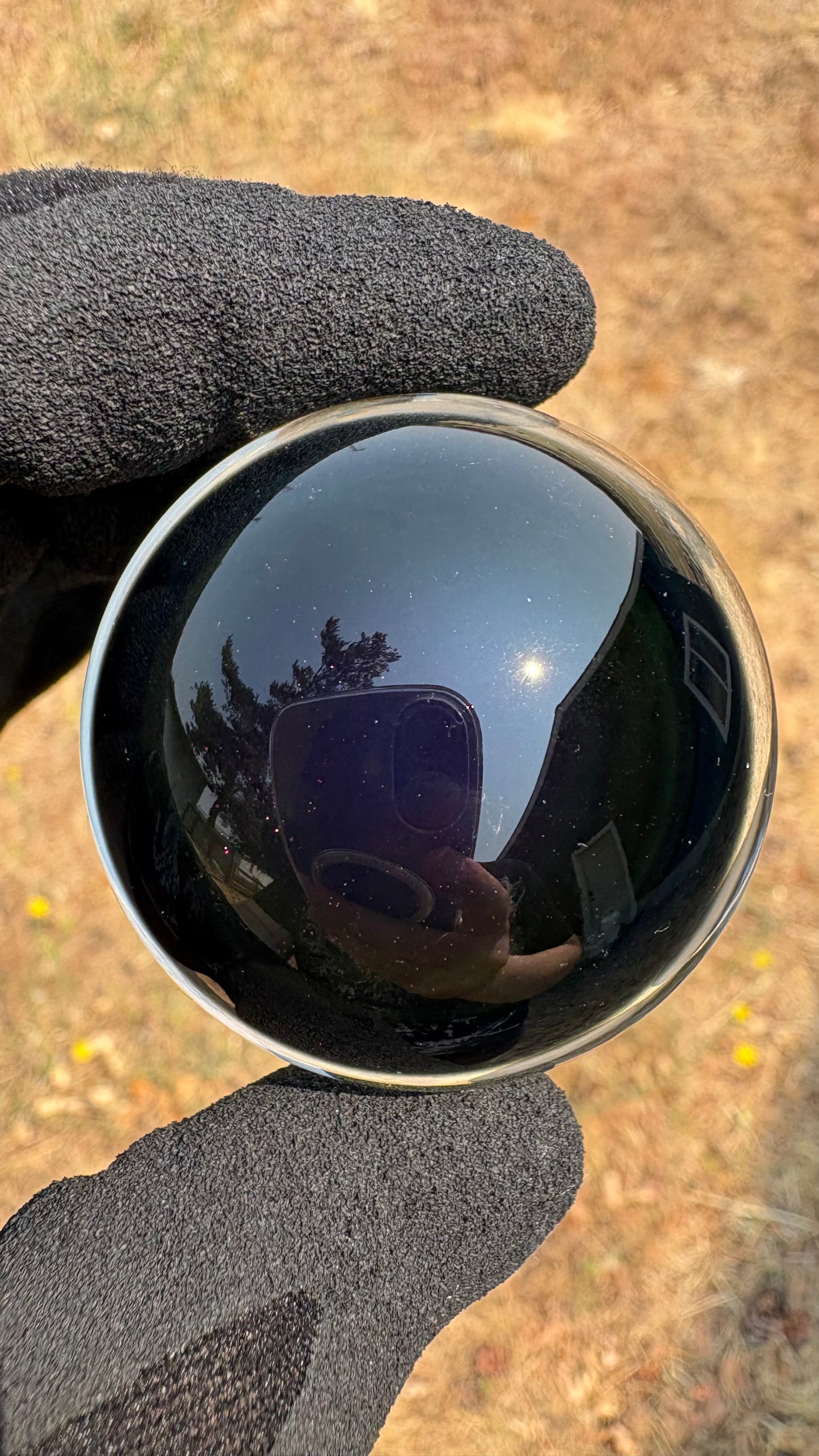Raptor Skull #1 - Cosmic Object (45mm/1.8")