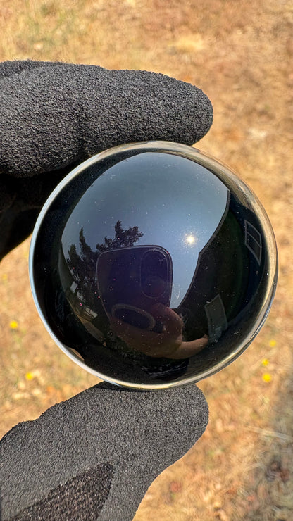 Raptor Skull #1 - Cosmic Object (45mm/1.8")