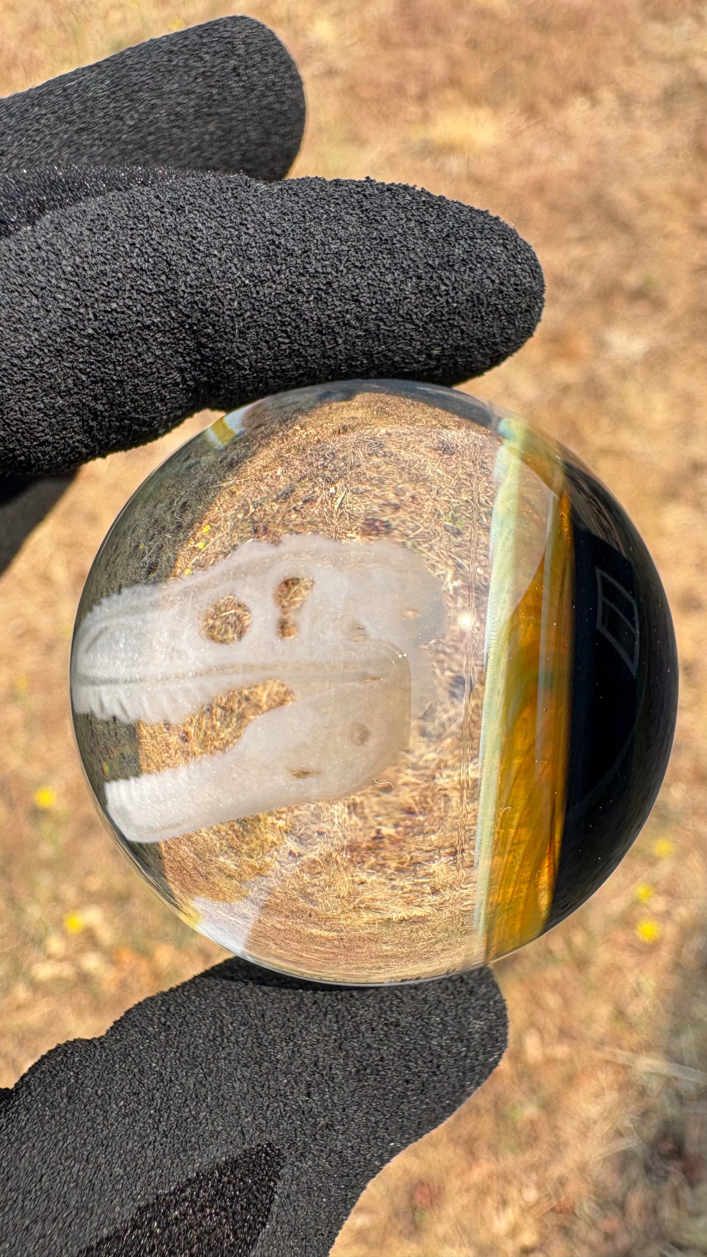 Raptor Skull #1 - Cosmic Object (45mm/1.8")