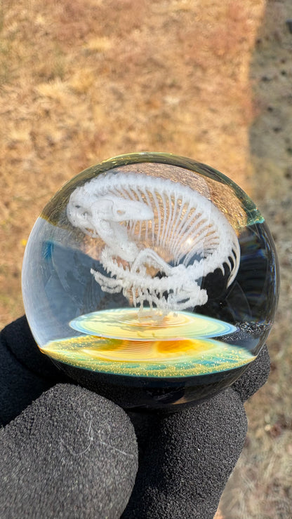 Heloderma Horridum Skeleton #2 with Crushed Opal Backing - Cosmic Object (45mm/1.7")
