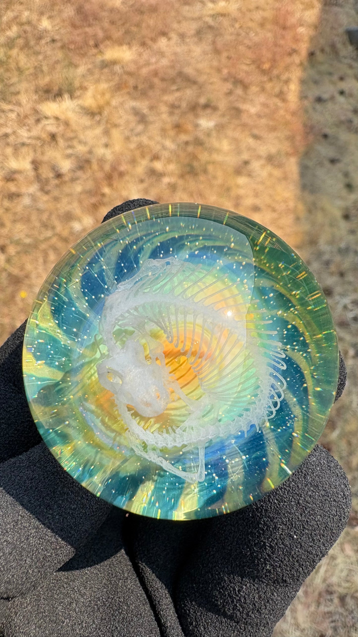 Heloderma Horridum Skeleton #2 with Crushed Opal Backing - Cosmic Object (45mm/1.7")