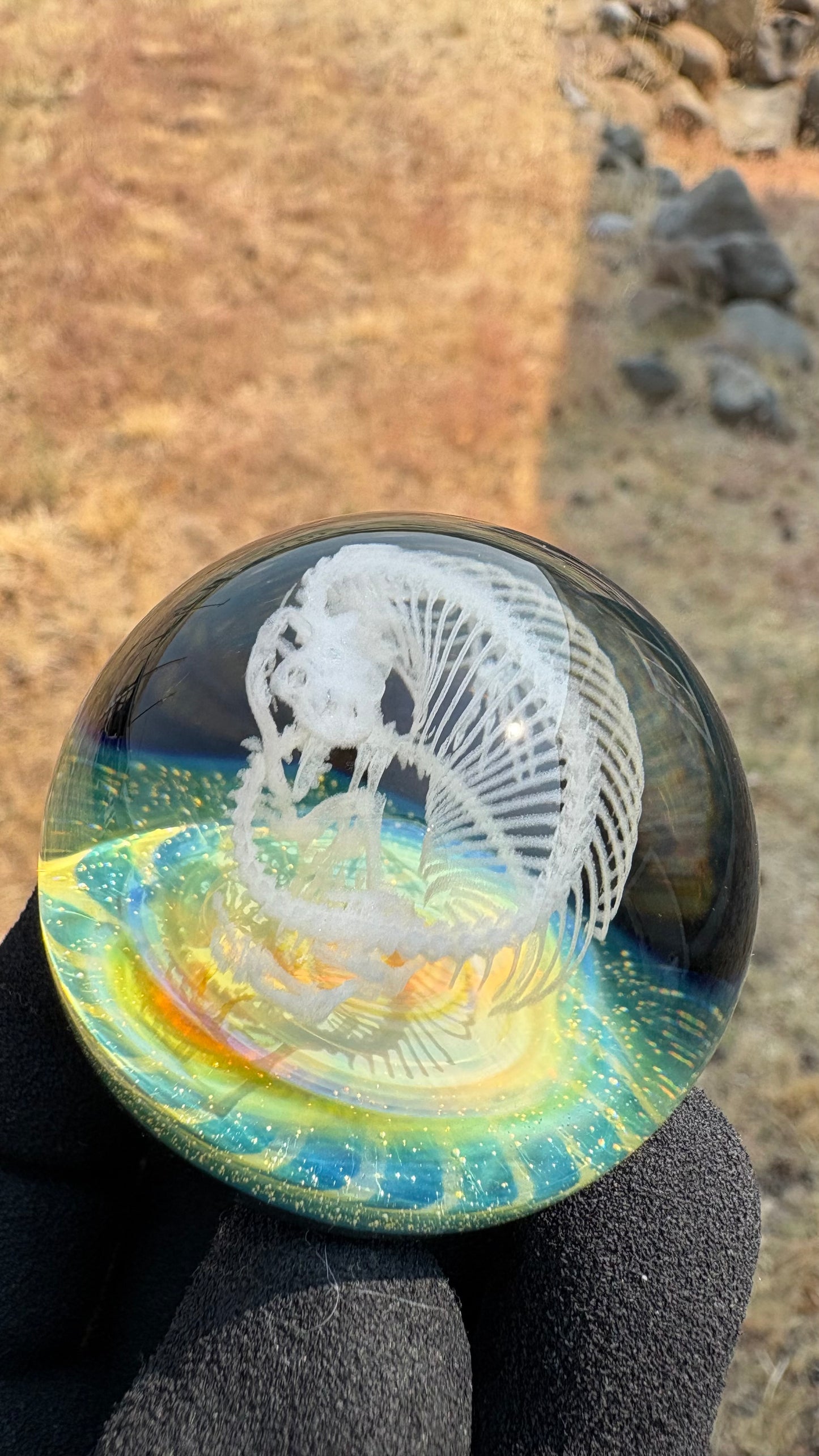 Heloderma Horridum Skeleton #2 with Crushed Opal Backing - Cosmic Object (45mm/1.7")