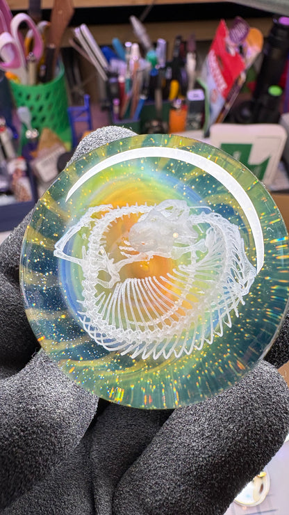Heloderma Horridum Skeleton #2 with Crushed Opal Backing - Cosmic Object (45mm/1.7")