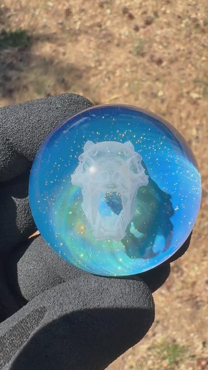 Saber Tooth Skull Cosmic Object #5 (slightly off-center) (42mm/1.5")