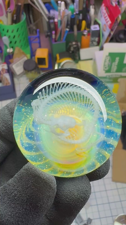Heloderma Horridum Skeleton #2 with Crushed Opal Backing - Cosmic Object (45mm/1.7")