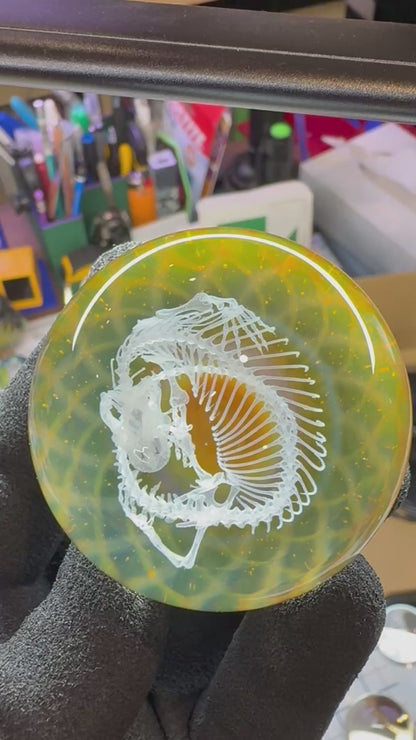 Heloderma Horridum Skeleton #3 - Cosmic Object (48mm/1.9")